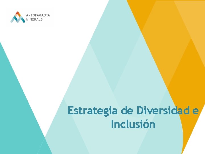 Estrategia de Diversidad e Inclusión 