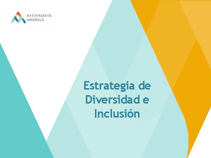 Estrategia de Diversidad e Inclusión 