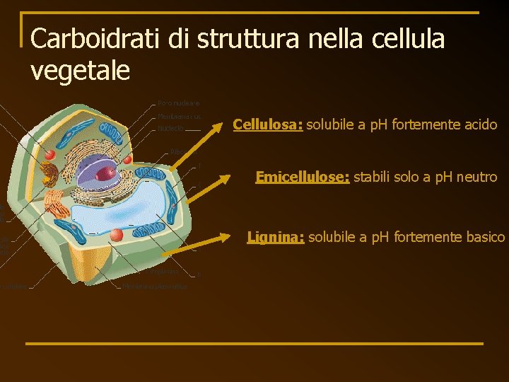 Carboidrati di struttura nella cellula vegetale Cellulosa: solubile a p. H fortemente acido Emicellulose: