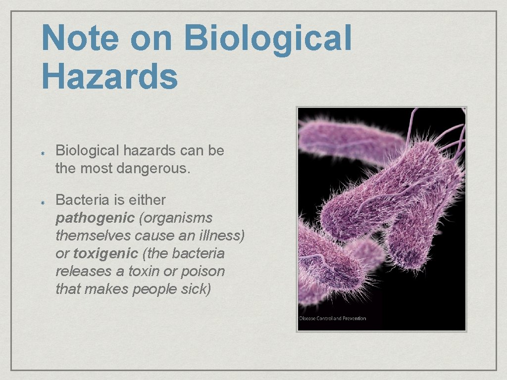 Note on Biological Hazards Biological hazards can be the most dangerous. Bacteria is either