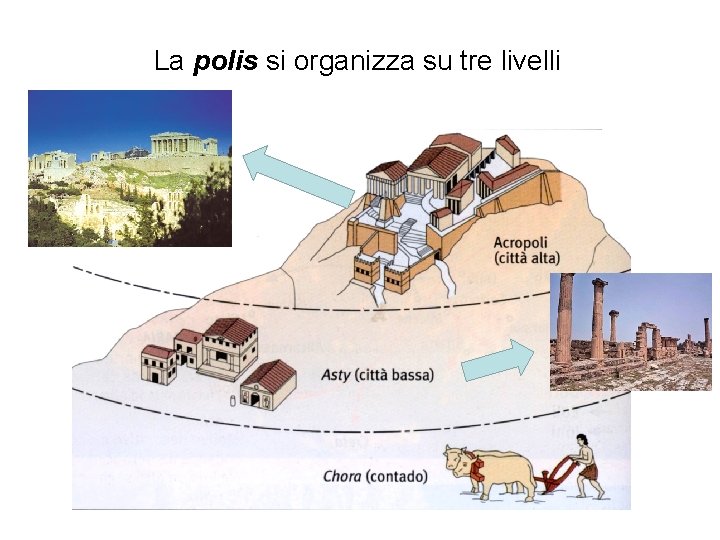 La polis si organizza su tre livelli 