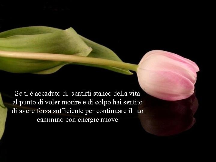 Se ti è accaduto di sentirti stanco della vita al punto di voler morire