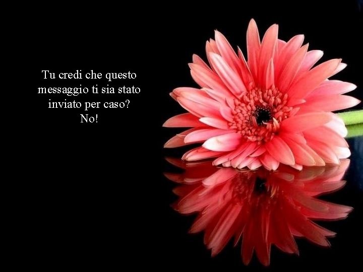Tu credi che questo messaggio ti sia stato inviato per caso? No! 