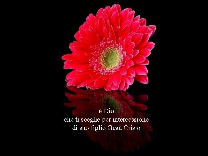 è Dio che ti sceglie per intercessione di suo figlio Gesù Cristo 