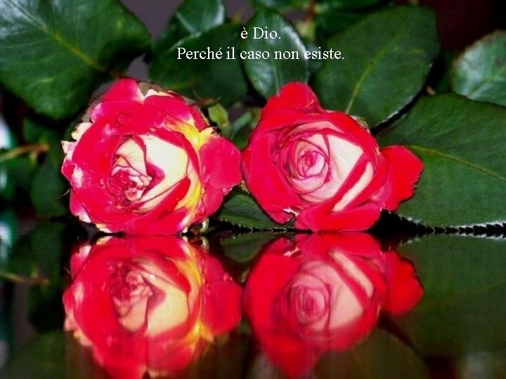 è Dio. Perché il caso non esiste. 
