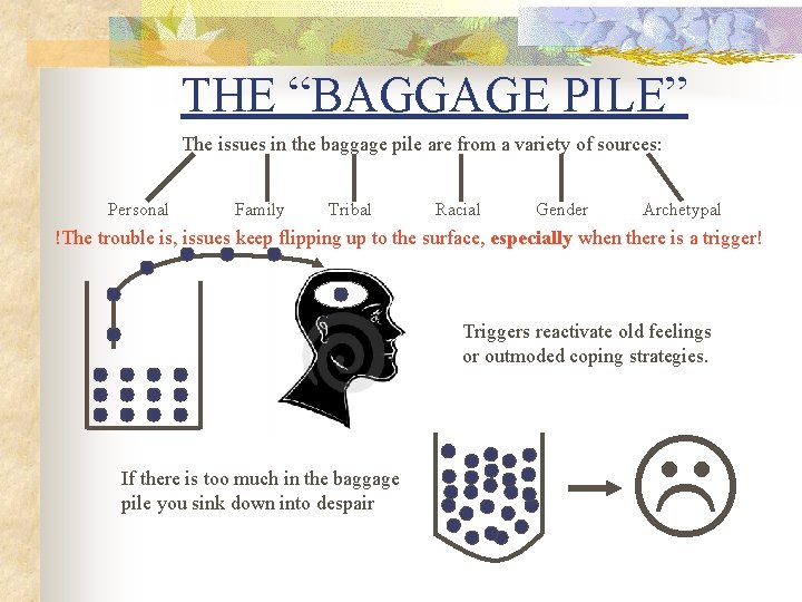 THE “BAGGAGE PILE” The issues in the baggage pile are from a variety of THE “BAGGAGE PILE” The issues in the baggage pile are from a variety of