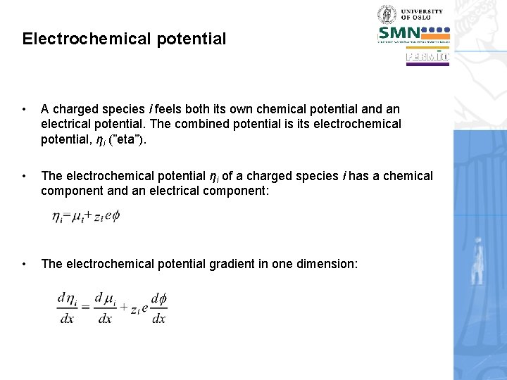 Electrochemical potential • A charged species i feels both its own chemical potential and