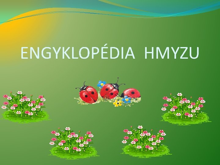 ENGYKLOPÉDIA HMYZU 