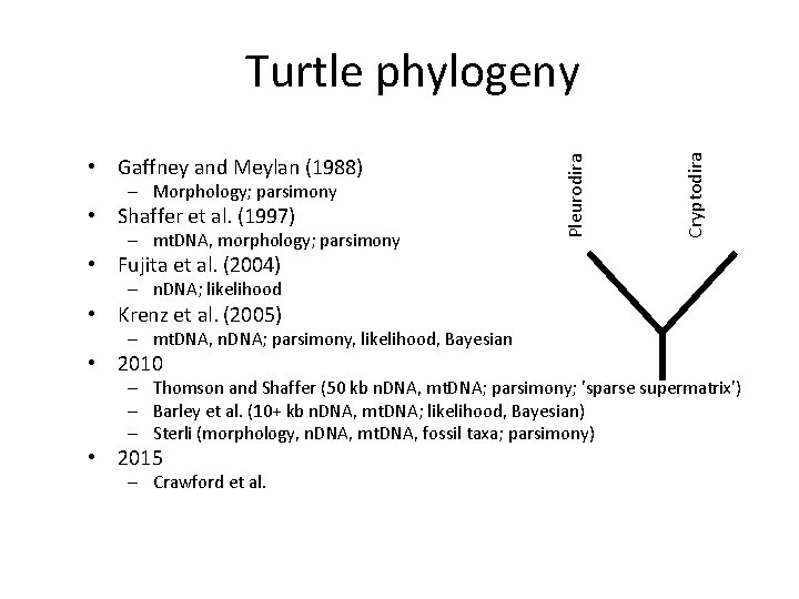 – Morphology; parsimony • Shaffer et al. (1997) – mt. DNA, morphology; parsimony Cryptodira