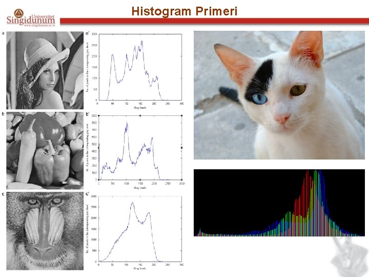 Histogram Primeri 