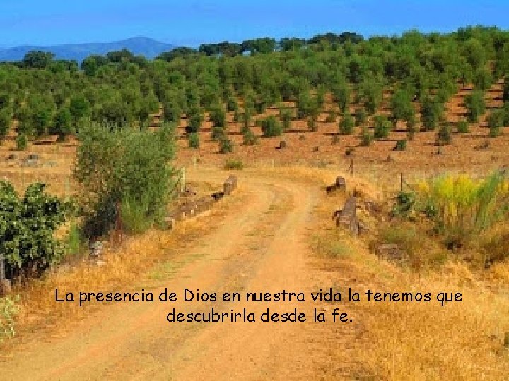 La presencia de Dios en nuestra vida la tenemos que descubrirla desde la fe.