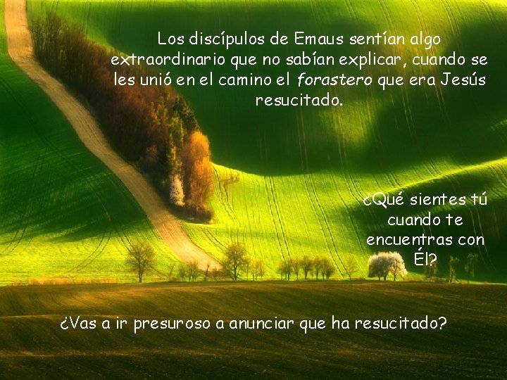 Los discípulos de Emaus sentían algo extraordinario que no sabían explicar, cuando se les Los discípulos de Emaus sentían algo extraordinario que no sabían explicar, cuando se les