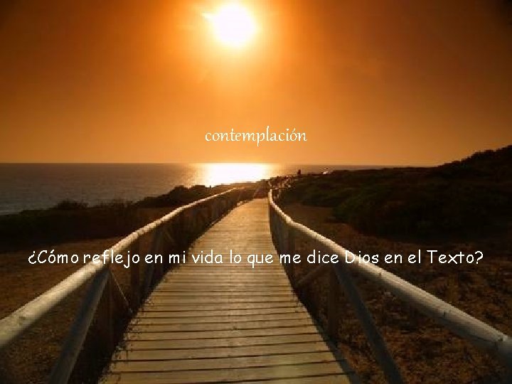 contemplación ¿Cómo reflejo en mi vida lo que me dice Dios en el Texto? contemplación ¿Cómo reflejo en mi vida lo que me dice Dios en el Texto?