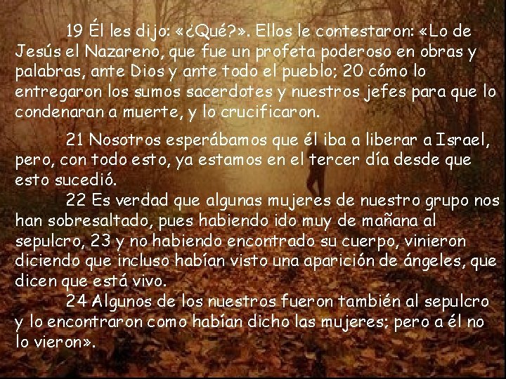 19 Él les dijo: «¿Qué? » . Ellos le contestaron: «Lo de Jesús el