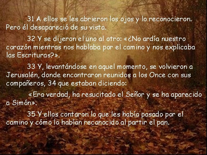 31 A ellos se les abrieron los ojos y lo reconocieron. Pero él desapareció 31 A ellos se les abrieron los ojos y lo reconocieron. Pero él desapareció