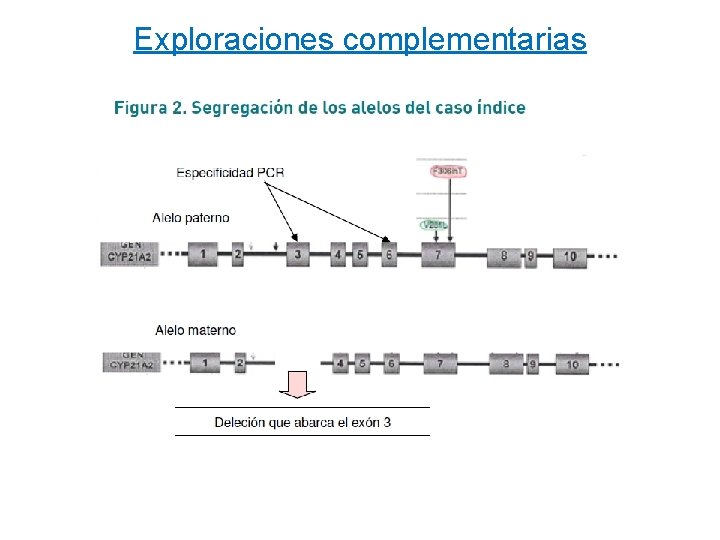 Exploraciones complementarias 