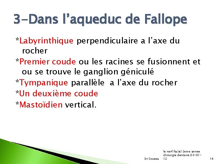 3 -Dans l’aqueduc de Fallope *Labyrinthique perpendiculaire a l’axe du rocher *Premier coude ou