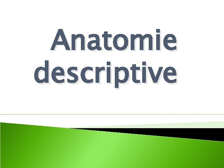 Anatomie descriptive 