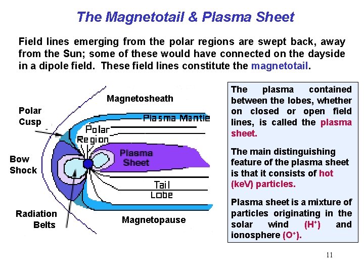 The Magnetotail & Plasma Sheet Field lines emerging from the polar regions are swept The Magnetotail & Plasma Sheet Field lines emerging from the polar regions are swept