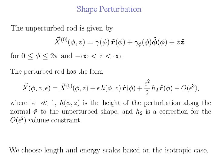 Shape Perturbation 