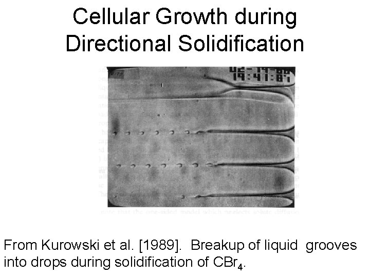 Cellular Growth during Directional Solidification From Kurowski et al. [1989]. Breakup of liquid grooves