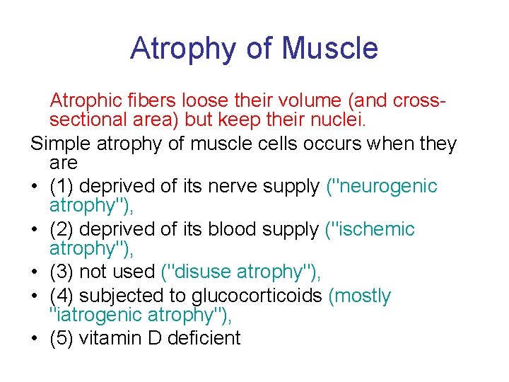Atrophy of Muscle Atrophic fibers loose their volume (and crosssectional area) but keep their