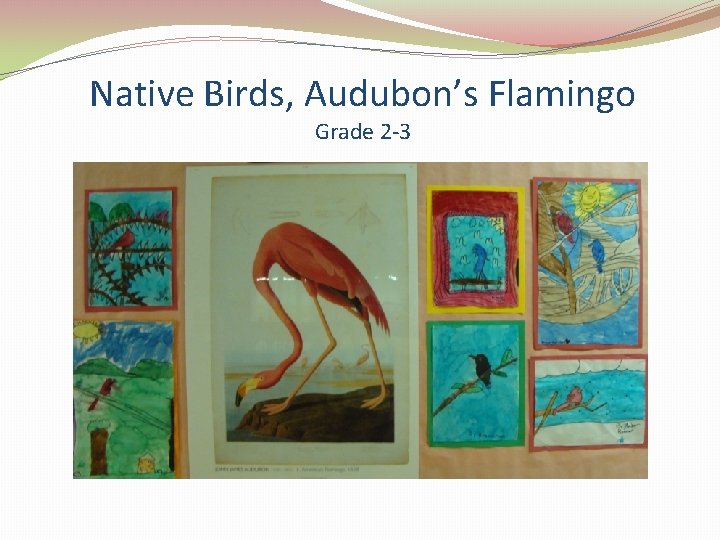 Native Birds, Audubon’s Flamingo Grade 2 -3 