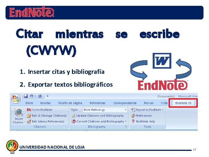 Citar mientras se escribe (CWYW) 1. Insertar citas y bibliografía 2. Exportar textos bibliográficos