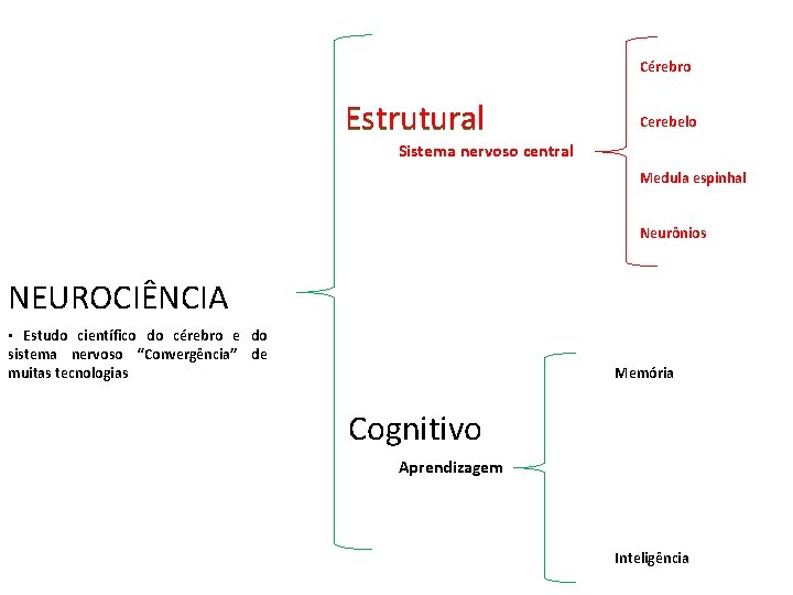 Cérebro Estrutural Cerebelo Sistema nervoso central Medula espinhal Neurônios NEUROCIÊNCIA • Estudo científico do Cérebro Estrutural Cerebelo Sistema nervoso central Medula espinhal Neurônios NEUROCIÊNCIA • Estudo científico do