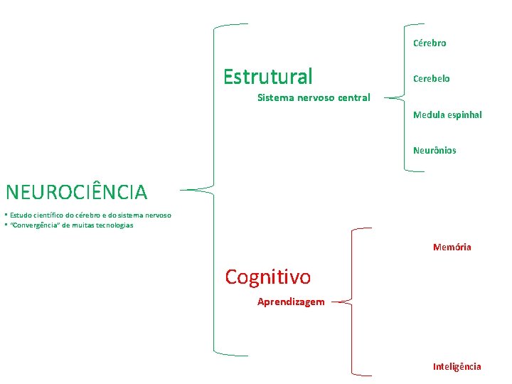 Cérebro Estrutural Cerebelo Sistema nervoso central Medula espinhal Neurônios NEUROCIÊNCIA • Estudo científico do Cérebro Estrutural Cerebelo Sistema nervoso central Medula espinhal Neurônios NEUROCIÊNCIA • Estudo científico do