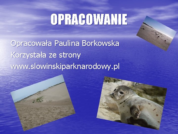 OPRACOWANIE Opracowała Paulina Borkowska Korzystała ze strony www. slowinskiparknarodowy. pl 