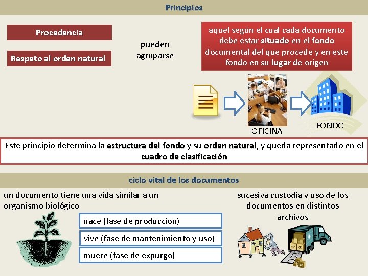 Principios Procedencia Respeto al orden natural pueden agruparse aquel según el cual cada documento