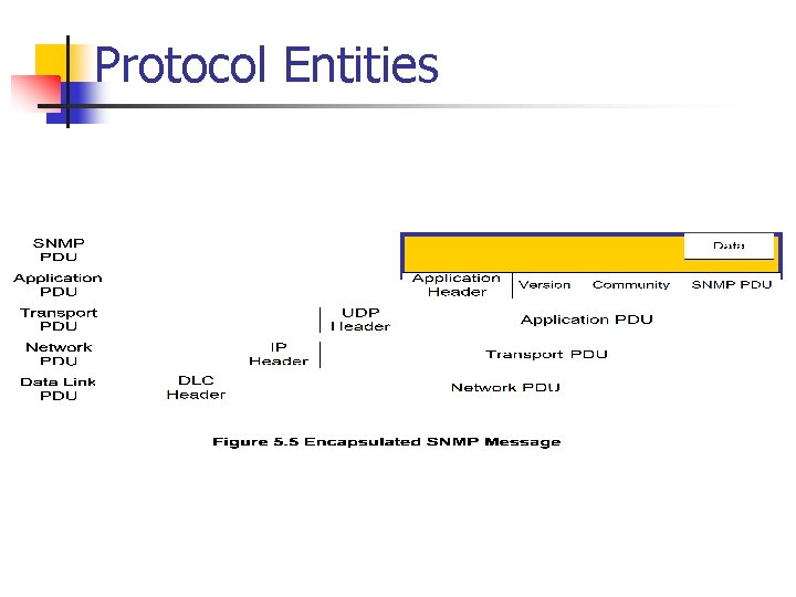 Protocol Entities 