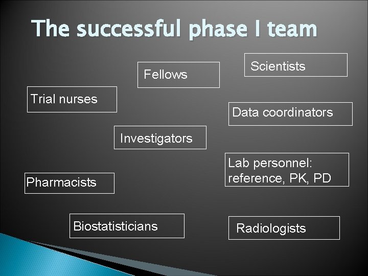 The successful phase I team Fellows Trial nurses Scientists Data coordinators Investigators Pharmacists Biostatisticians