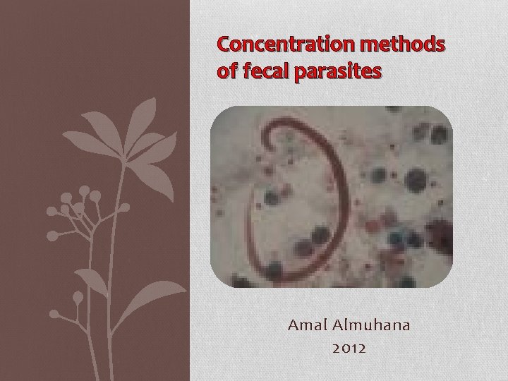 Concentration methods of fecal parasites Amal Almuhana 2012 