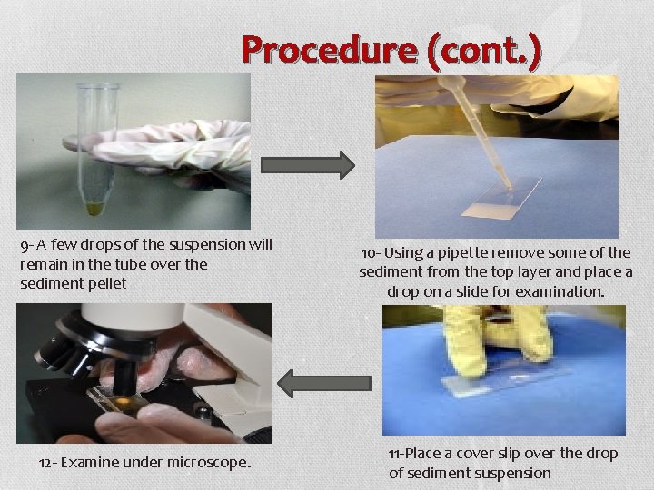 Procedure (cont. ) 9 - A few drops of the suspension will remain in