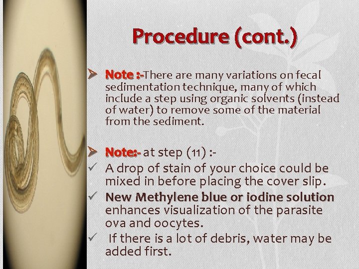 Procedure (cont. ) Ø Note : -There are many variations on fecal sedimentation technique,