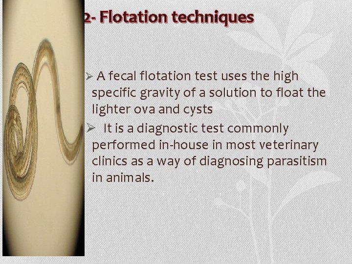 2 - Flotation techniques Ø A fecal flotation test uses the high specific gravity