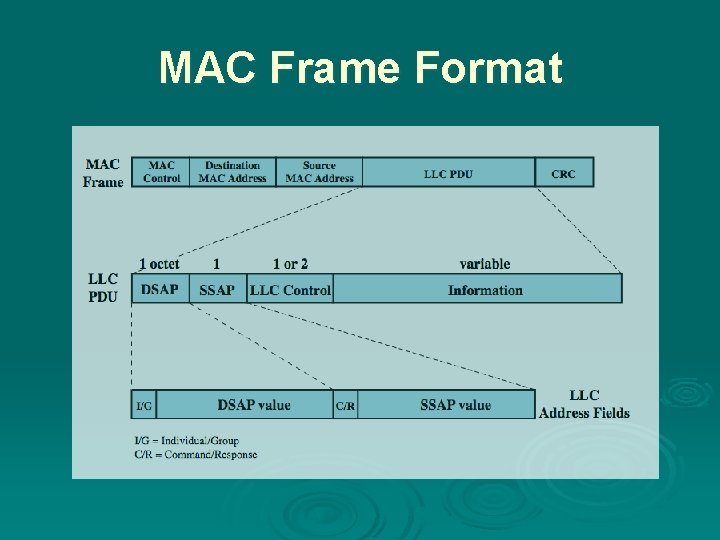 MAC Frame Format 