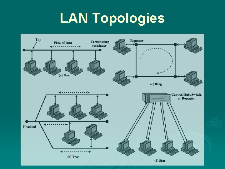 LAN Topologies 