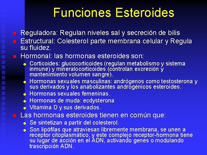 Los 10 mejores sitios web para buscar funciones de los esteroides