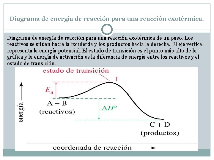 Diagrama de energía de reacción para una reacción exotérmica de un paso. Los reactivos