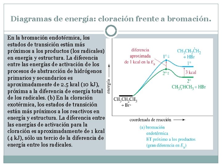 Diagramas de energía: cloración frente a bromación. En la bromación endotérmica, los estados de