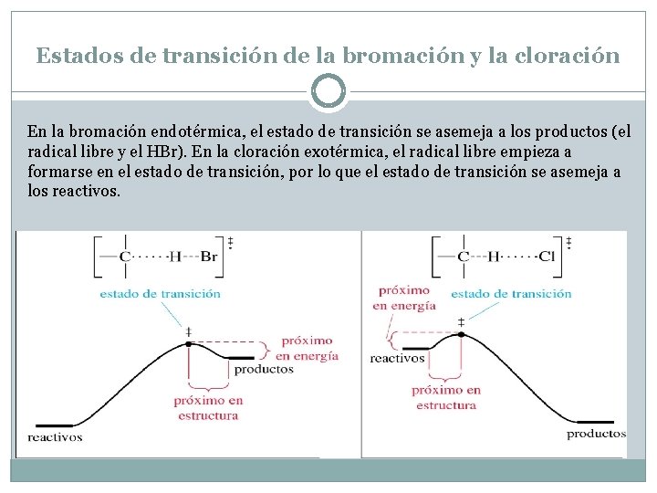 Estados de transición de la bromación y la cloración En la bromación endotérmica, el