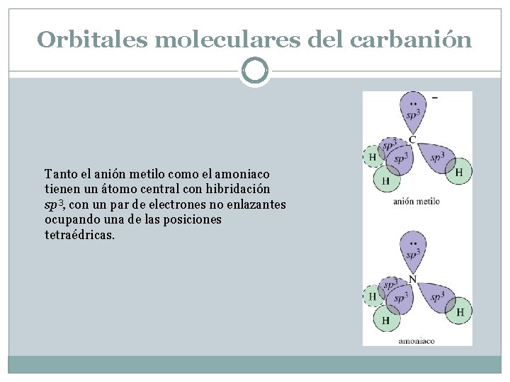 Orbitales moleculares del carbanión Tanto el anión metilo como el amoniaco tienen un átomo