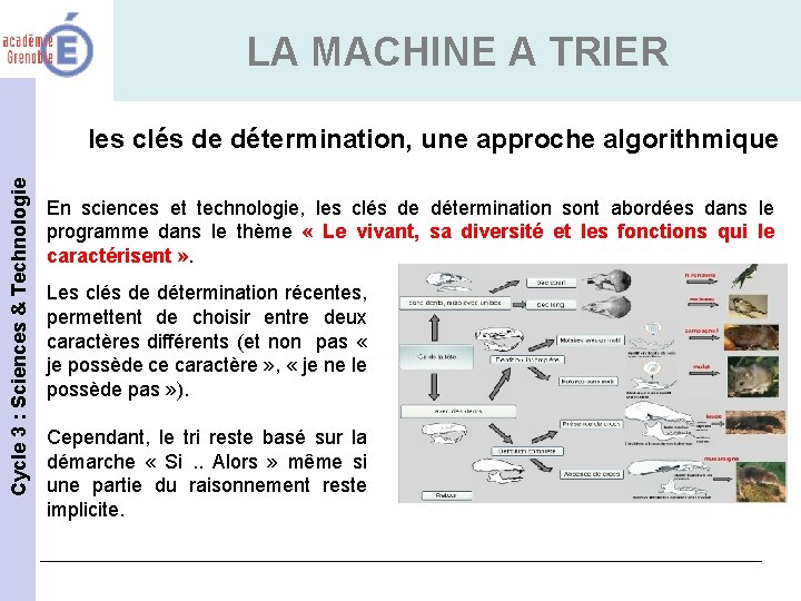 LA MACHINE A TRIER Cycle 3 : Sciences & Technologie les clés de détermination,