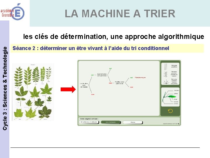 LA MACHINE A TRIER Cycle 3 : Sciences & Technologie les clés de détermination,