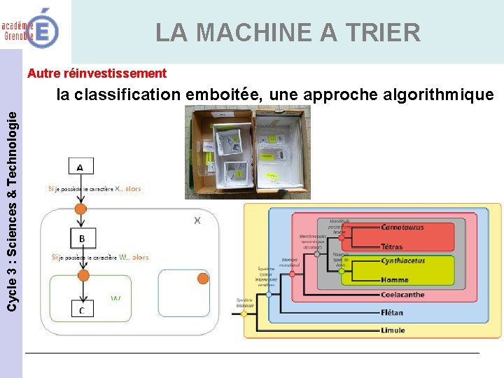 LA MACHINE A TRIER Autre réinvestissement Cycle 3 : Sciences & Technologie la classification