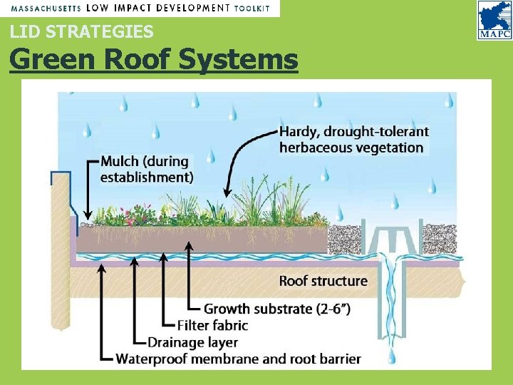 LID STRATEGIES Green Roof Systems LID STRATEGIES Green Roof Systems