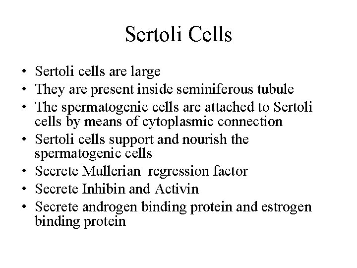 Sertoli Cells • Sertoli cells are large • They are present inside seminiferous tubule